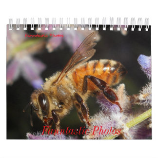 Käfer und Blumen Kalender