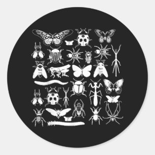 Käfer- und Bug-Sammler - Entomologie-Insekt Runder Aufkleber