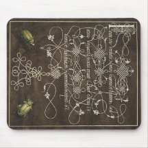 Käfer und Scarab von Mira Calligraphiae