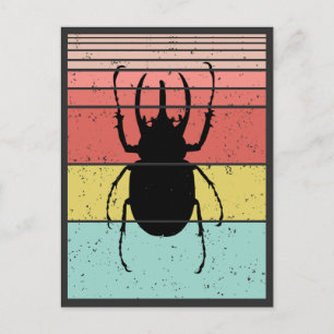 KÄFER VINTAGE INSEKT POSTKARTE