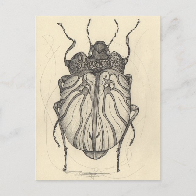 Käferballett Feiertagspostkarte (Vorderseite)