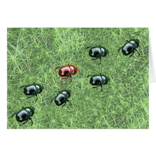 Käferdesign (Vorderseite (Horizontal))