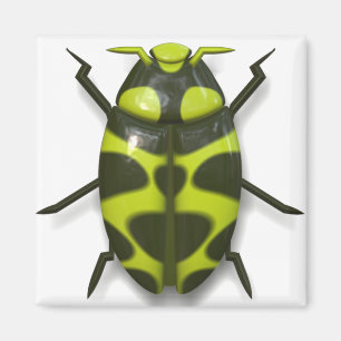 Käferinsekt niedlich magnet