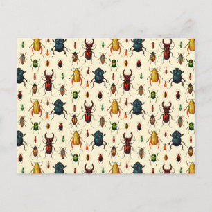 Käfersorten Postkarte