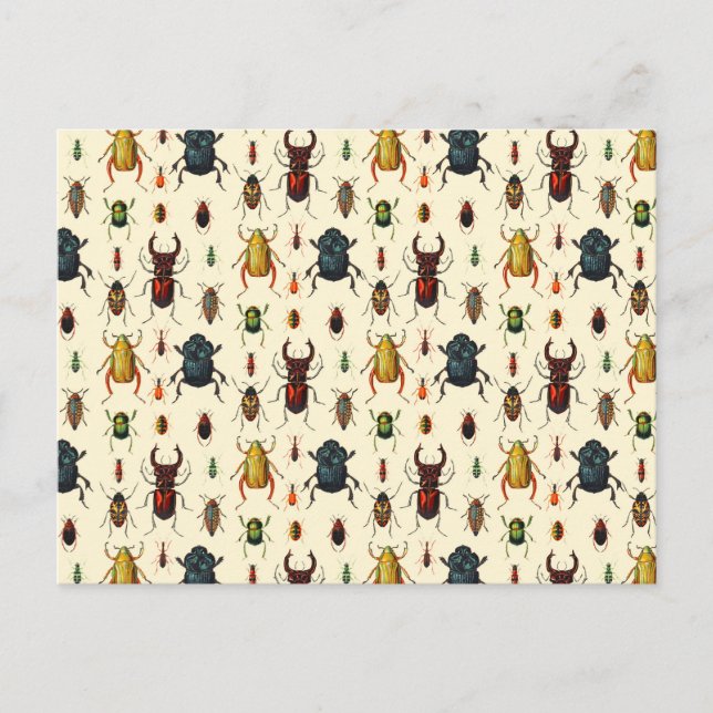Käfersorten Postkarte (Vorderseite)