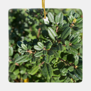 Kaffbeer Keramikornament