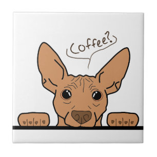 Kaffee? AHT Decorative Tile Fliese