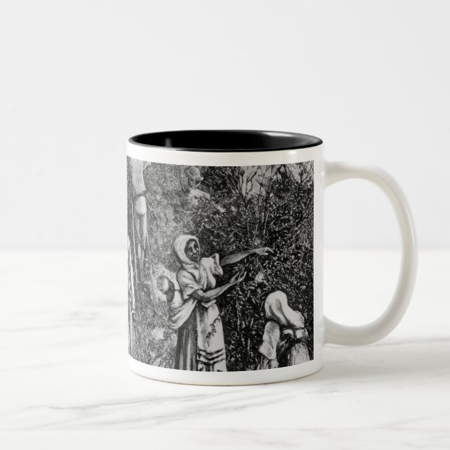 Kaffee-Ernte Zweifarbige Tasse (Rechts)