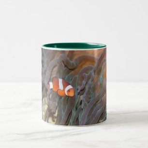 Kaffee-Tasse - besonders angefertigt Zweifarbige Tasse