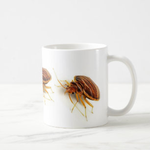 Kaffee-Tasse - Cimex lectularius (Bettwanze) Tasse