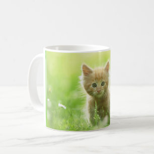 Kaffee Tasse-Kitten Kaffeetasse