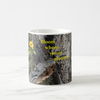 Kaffee-Tasse mit der Blume, die aus Baum heraus Tasse