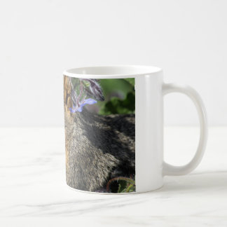 Kaffee-Tasse mit Eichhörnchen Kaffeetasse