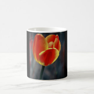 Kaffee-Tasse mit roter Tulpe Tasse