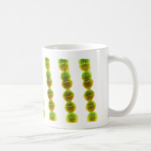 Kaffee-Tasse - Streptokokke (Grün auf Weiß) Tasse