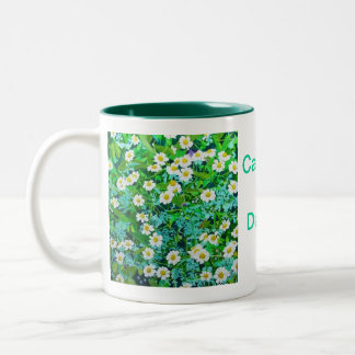 Kaffee-Tasse Zweifarbige Tasse