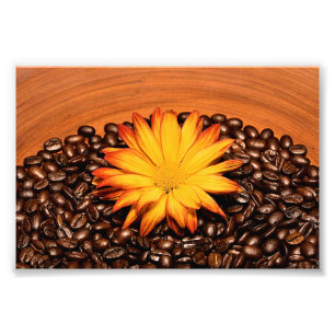 Kaffeebohnen und Yellow Daisy Fotodruck