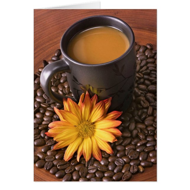 Kaffeebohnen & Yellow Daisy (Vorne)
