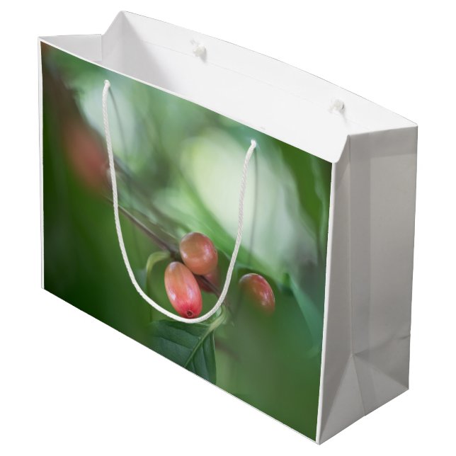 Kaffeekirsche Große Geschenktüte (Rückseite Schrägansicht)
