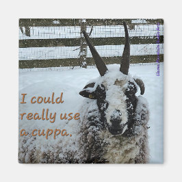 Kaffeepapiermagnet #1 - Wertvoll Magnet