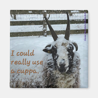 Kaffeepapiermagnet #1 - Wertvoll Magnet