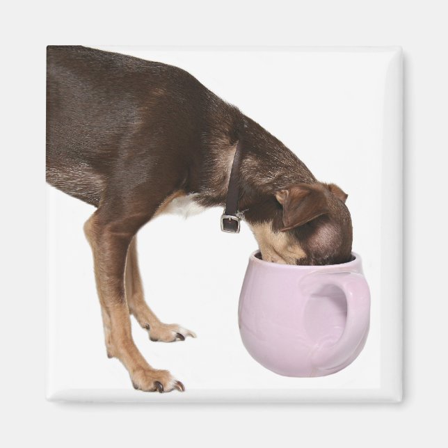 Kaffeepause Magnet (Vorne)