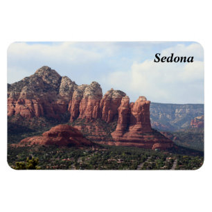 Kaffeepflanze Magnet