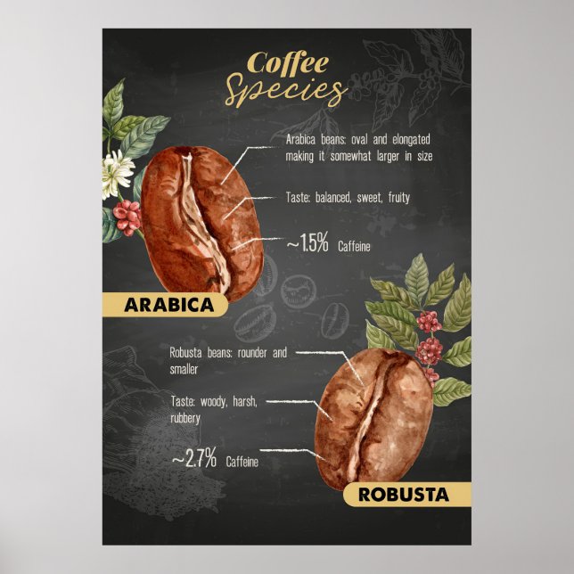 Kaffeesorten Poster (Vorne)