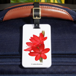 Kaffir Lily / River Lily / Hesperantha Coccinea Gepäckanhänger