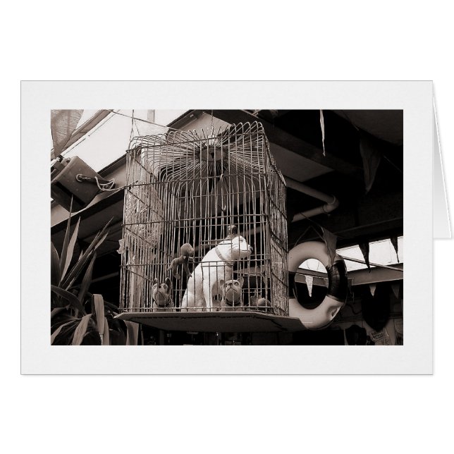 Käfiggebäck (Vorderseite (Horizontal))