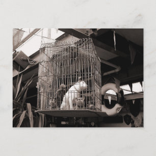 Käfiggebäck Postkarte