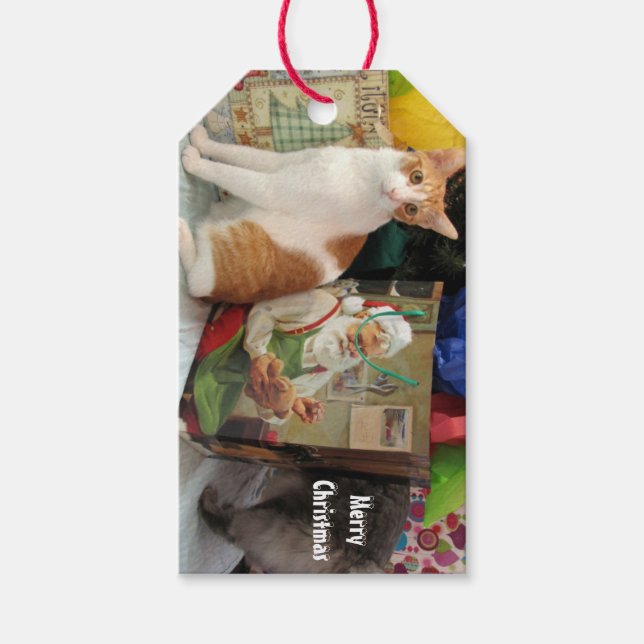 Kagans Weihnachtsgeschenke - Kat /Kitten Geschenke Geschenkanhänger (Vorderseite)