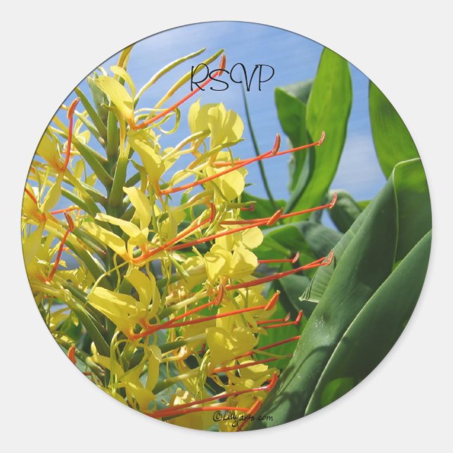 Kahili Ginger Wedding Umschlag Aufklebers/ Sticker (Vorderseite)