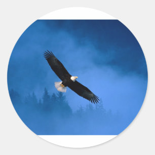 Kahl-Eagle-Alaska Runder Aufkleber