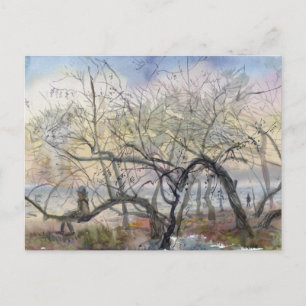 Kahle Bäume am Wasser Aquarell-Landschaft Postkarte