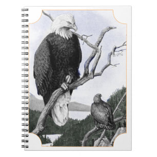 Kahler Adler-Vintage Illustration Notizblock