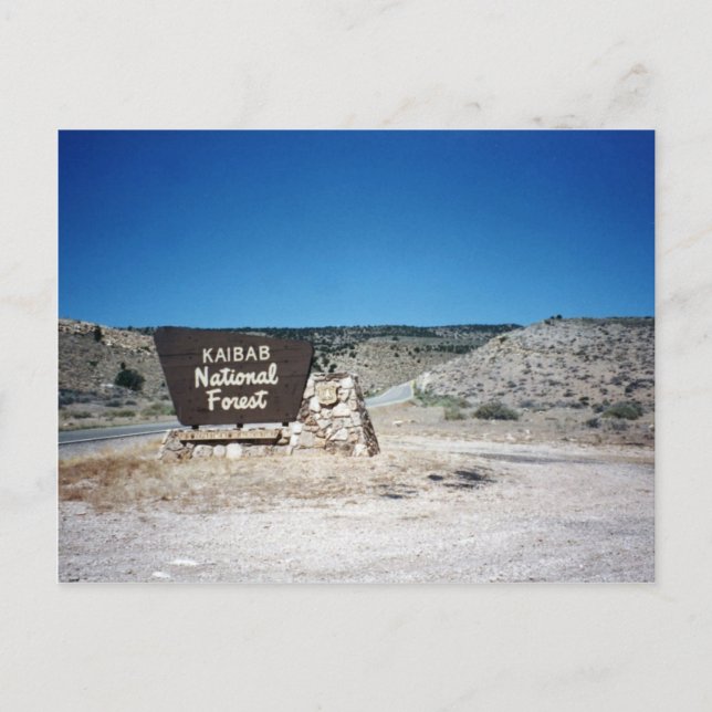 Kaibab National Forest Sign Postkarte (Vorderseite)