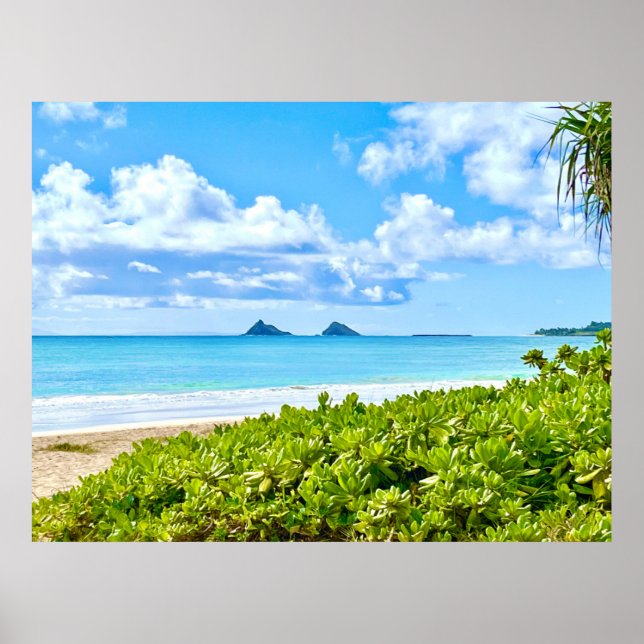Kailua, Oahu Poster (Vorne)