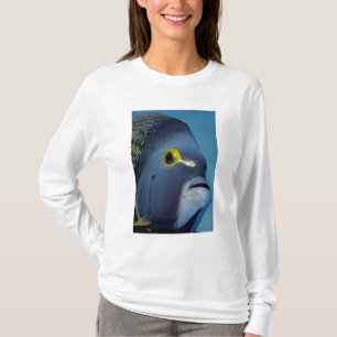 Kaimaninseln, Angelfish Pomacanthus T-Shirt