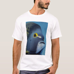 Kaimaninseln, Französischer Engelfisch Pomacanthus T-Shirt