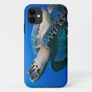 Kaimaninseln, Little Cayman Island, Unterwasser 2 Case-Mate iPhone Hülle