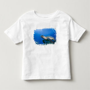Kaimaninseln, Little Cayman Island, Unterwasser 2 Kleinkind T-shirt