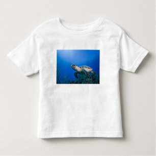 Kaimaninseln, Little Cayman Island, Unterwasser 2 Kleinkind T-shirt