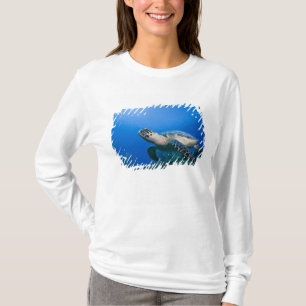 Kaimaninseln, Little Cayman Island, Unterwasser 2 T-Shirt