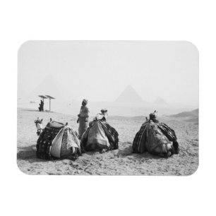Kairo Ägypten, Kameljockeys Giza-Pyramiden (NR) Magnet