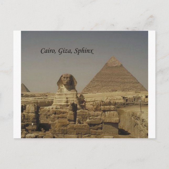 Kairo, Gizeh, die Sphinx (St.K.) Postkarte (Vorderseite)