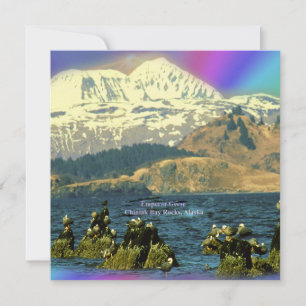 Kaiser Gänse in Chiniak Bay in der Nähe von Chinia Einladung