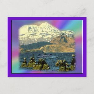 Kaiser Gänse in Chiniak Bay in der Nähe von Chinia Postkarte