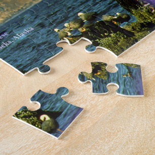 Kaiser Gänse in Chiniak Bay in der Nähe von Chinia Puzzle