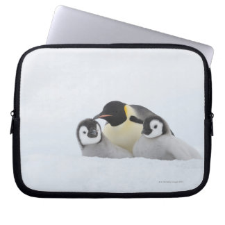 Kaiser Penguin (Aptenodytes forsteri) 2 Laptopschutzhülle